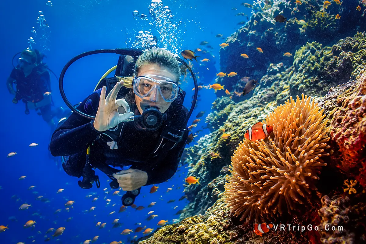 Scuba Diving Tour from Antalya with colorful underwater marine life, crystal-clear Mediterranean waters, and unforgettable scuba diving adventure along the Turkish coast