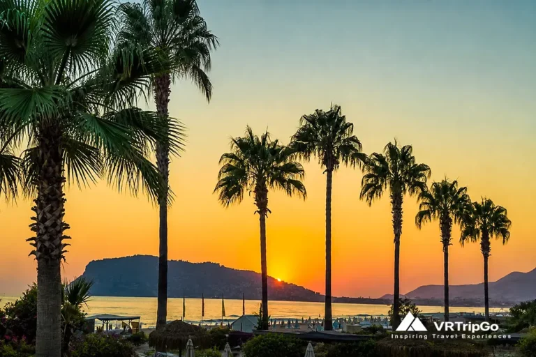 Best time to visit Alanya for beach holidays – sunset over palm trees and coastline with calm sea and warm golden sky