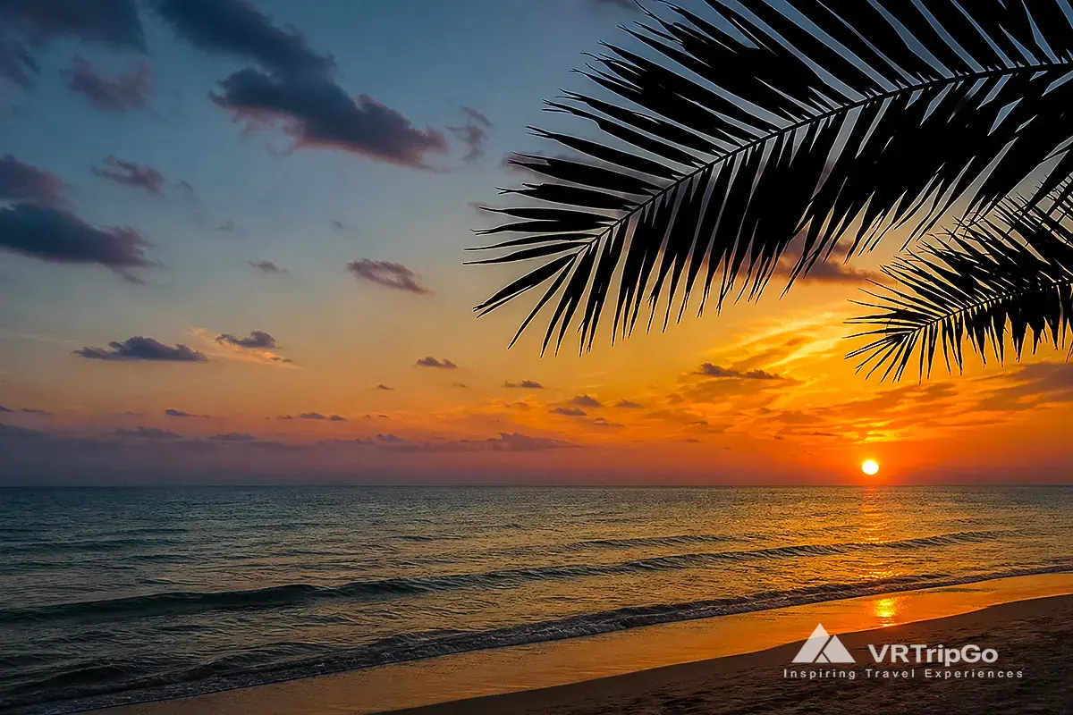 Best month to visit Alanya – sunset beach with palm silhouette, calm sea and warm golden sky in perfect travel season