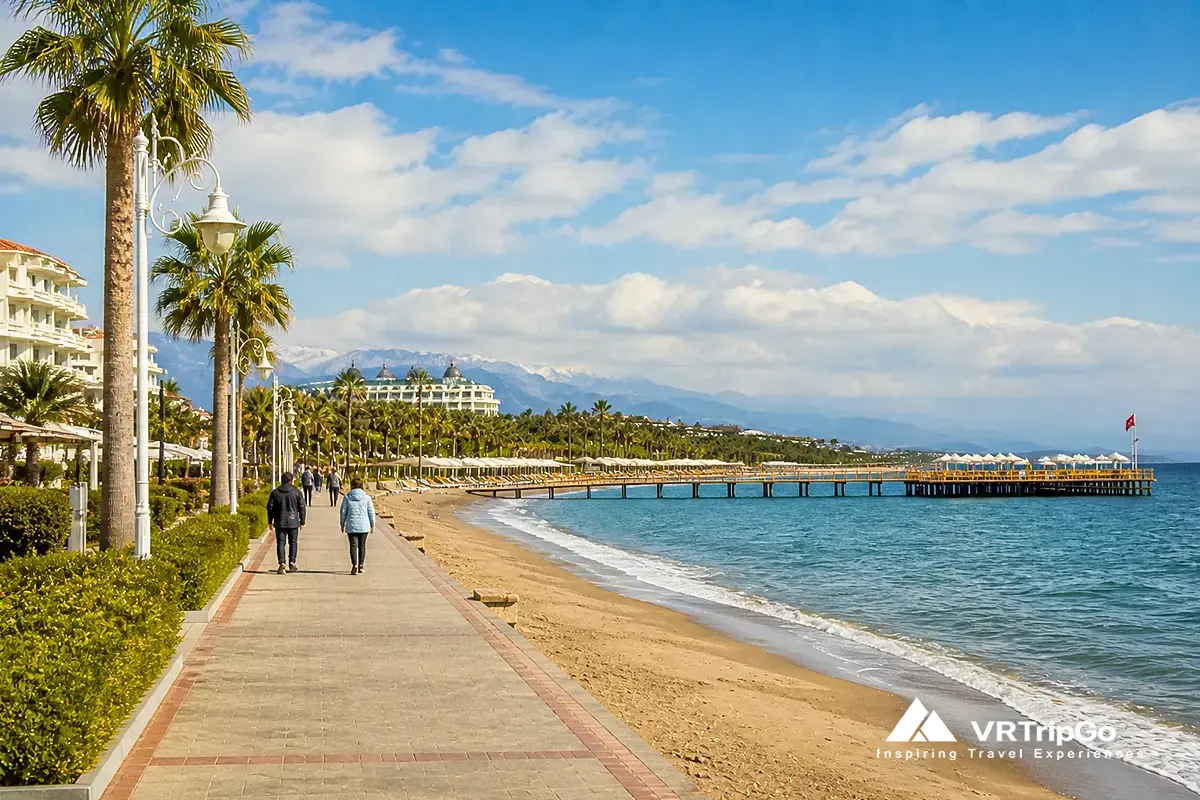 Belek winter weather, sunny beach, palm trees, Antalya Turkey