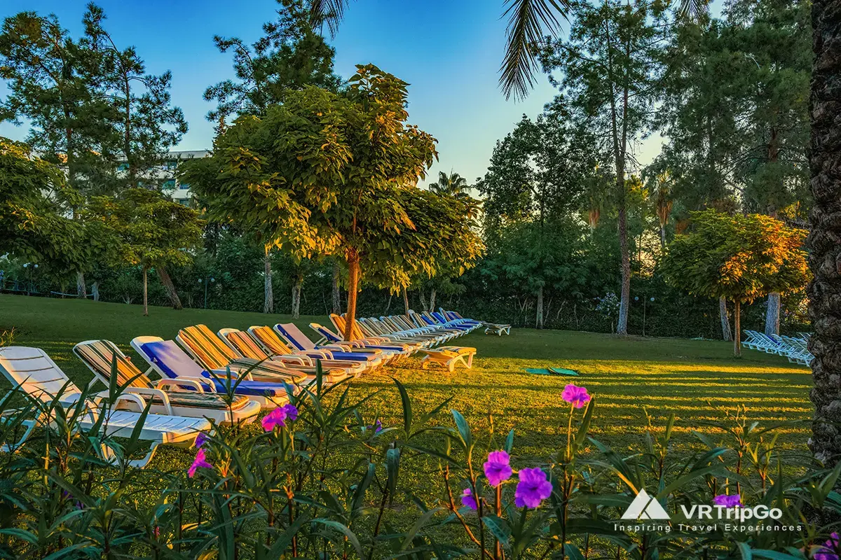 best month to visit kemer, sunny resort garden in Kemer Turkey with lounge chairs on green grass, palm trees and warm evening light