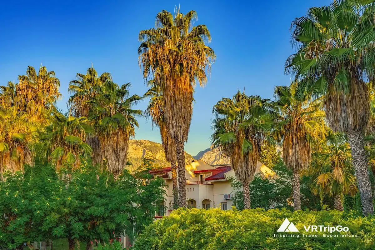 travel tips for visiting kemer, tropical resort area in Kemer Turkey with tall palm trees, lush greenery and mountains in warm sunlight