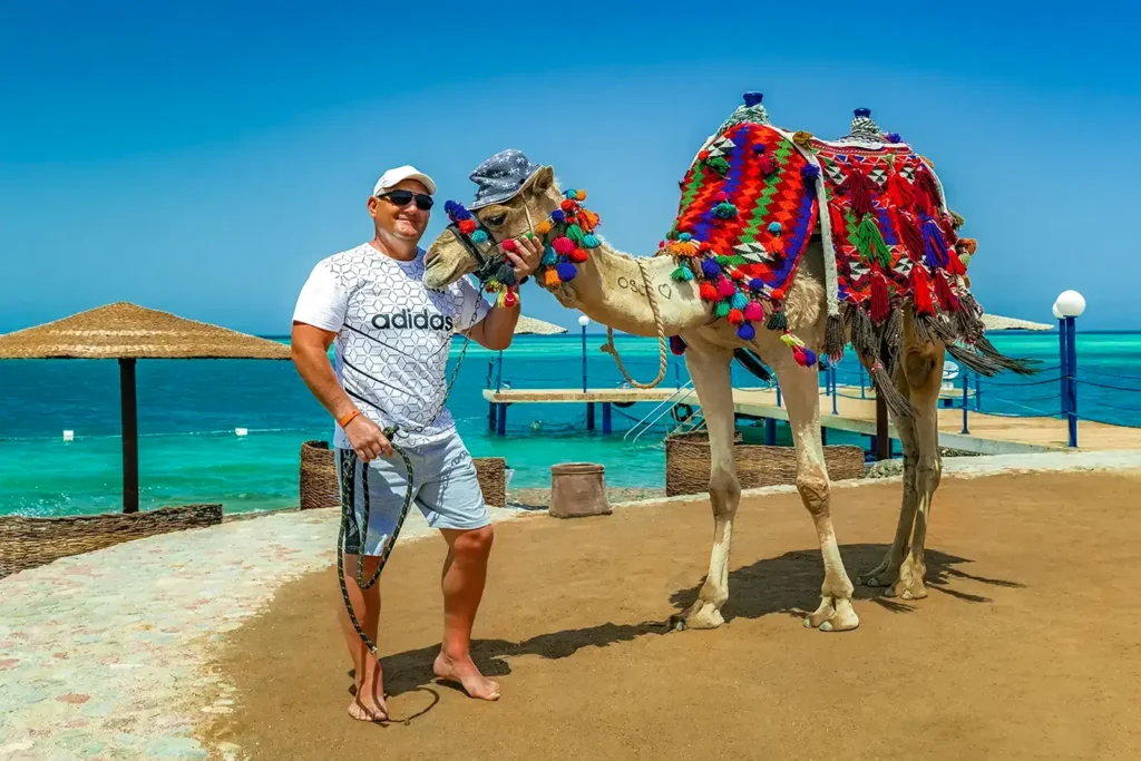 Tourist with camel on the Red Sea beach in Egypt sunny summer vacation view