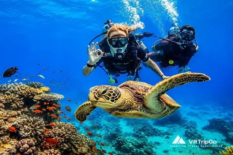 Scuba Diving Tour from Kemer with crystal-clear Mediterranean waters, colorful marine life, and unforgettable underwater adventure.
