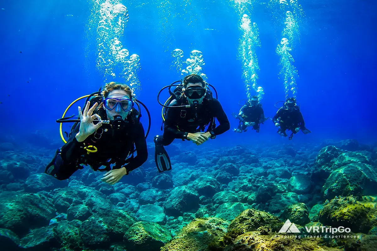 Scuba Diving Tour in Turkey with Professional Instructors Exploring the Mediterranean Sea