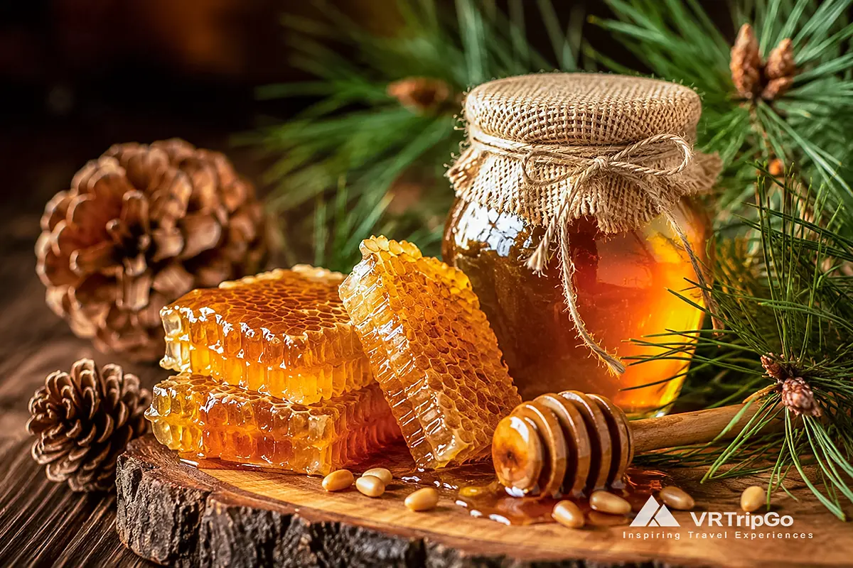 Pine Honey from Antalya featuring rich golden honeycomb, natural pine forest honey, and authentic Mediterranean beekeeping traditions